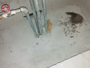 当涂卫生间测漏水价格明细